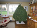 06Decorations