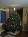 12XmasTree